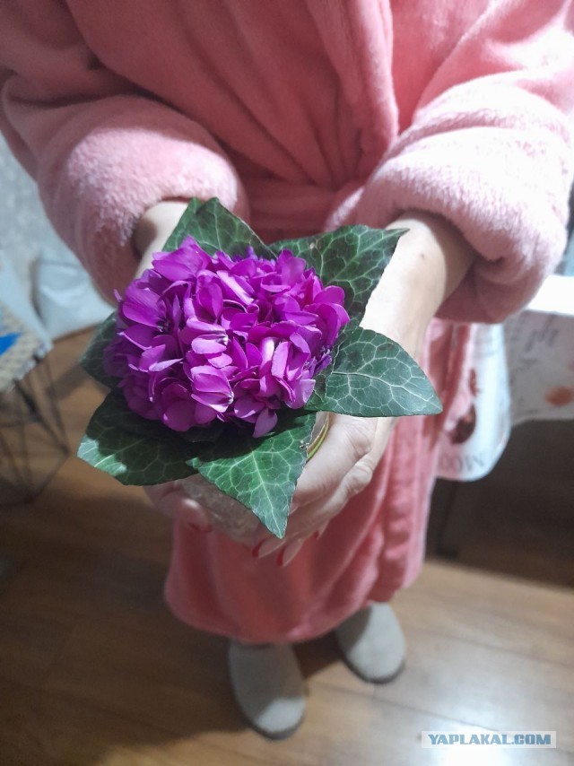 Не дать растаять Снегурчке. Нужна помощь всесильного Япа.