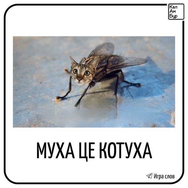 Картинки без критики