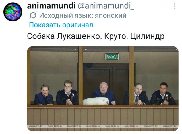 Потная гамсахурдия №5 (Картинки)