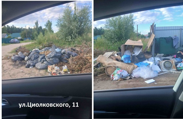 Предвыборные помойки
