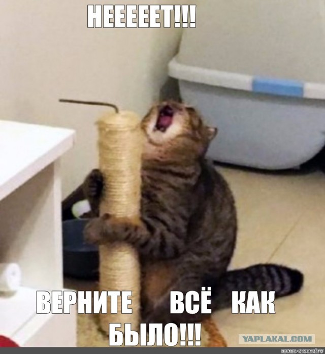 Я охуел.