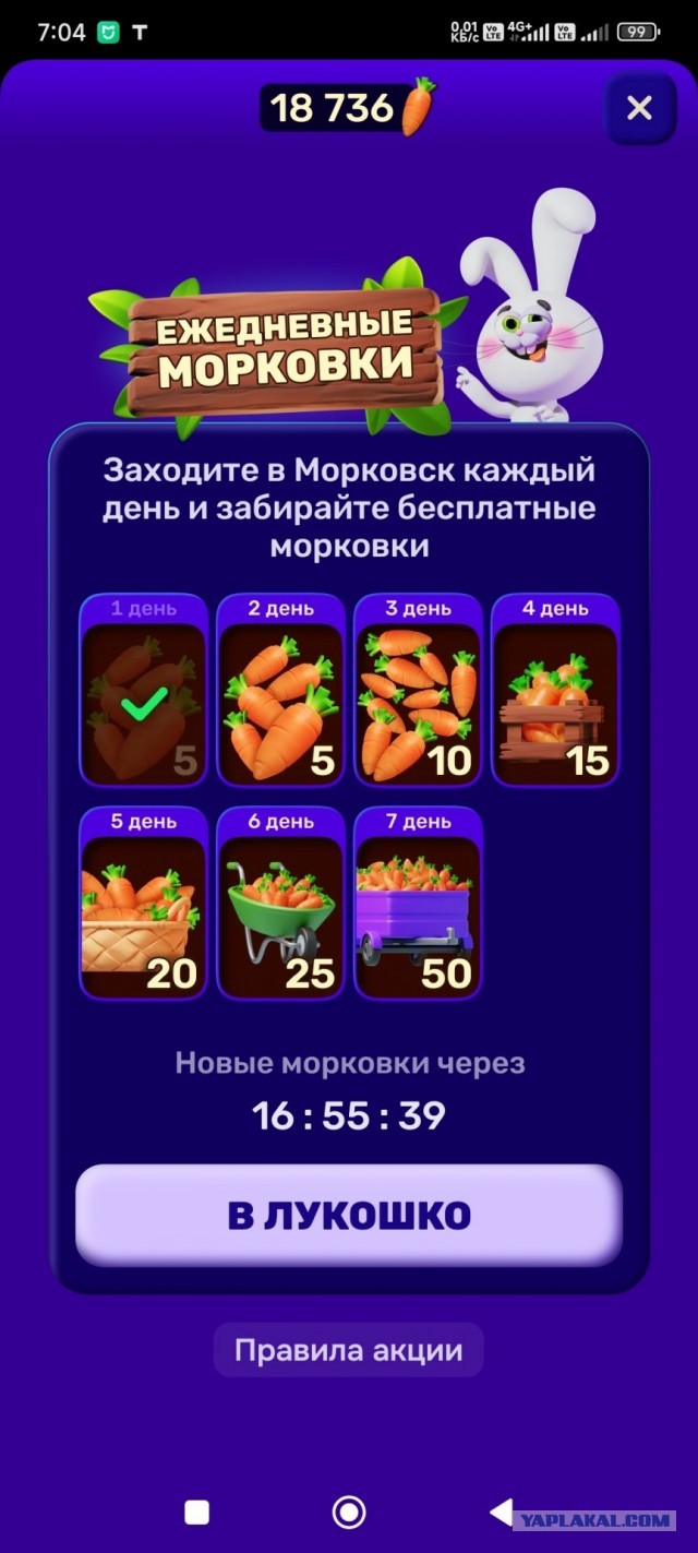 Снова про морковки от Озон