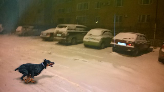 Как я по следу шел