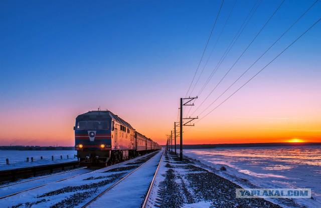 Победители фотоконкурса