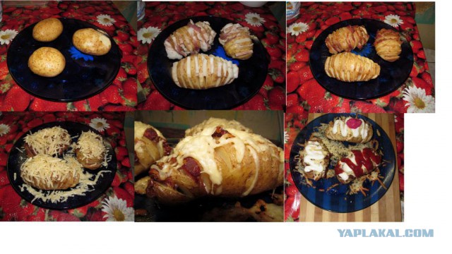 Опять про бульбу