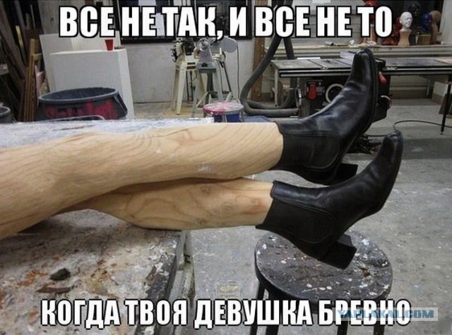 Голландия возвращает золото из США