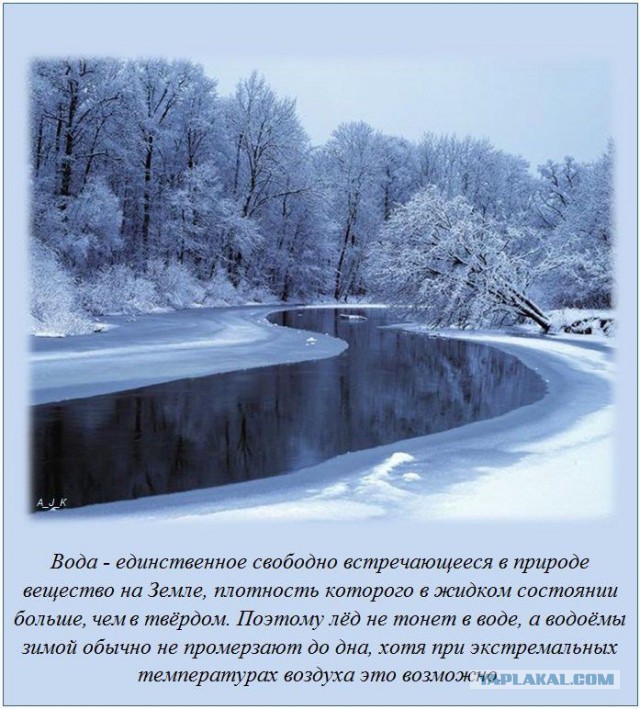 20 фактов обо всем