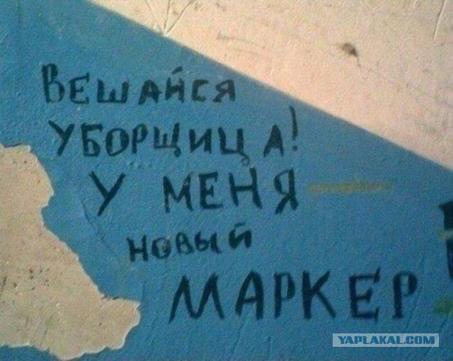 Веселости которые встретились сегодня
