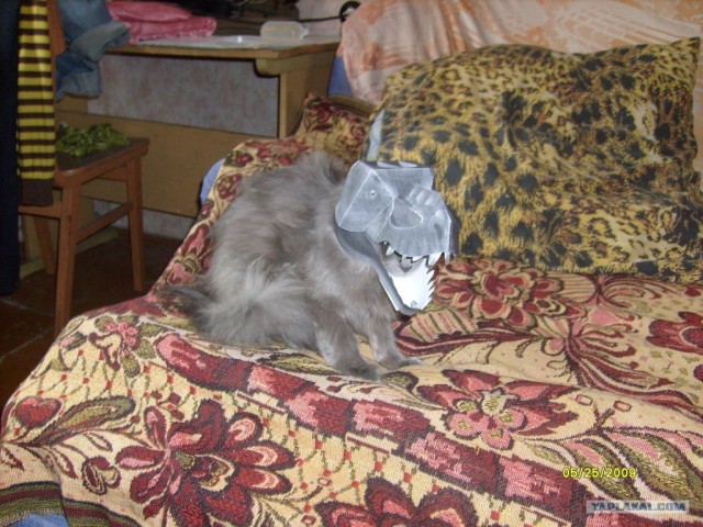 Если взять листок бумаги......