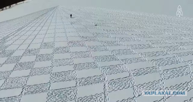 Когда ну очень долго ждешь кого-то на улице