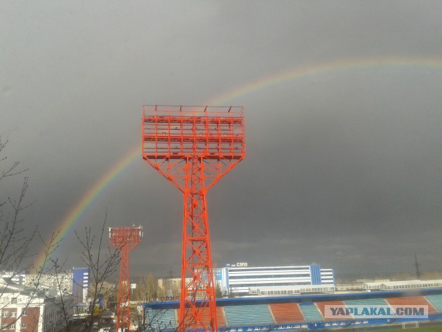 Подборка интересных и веселых картинок