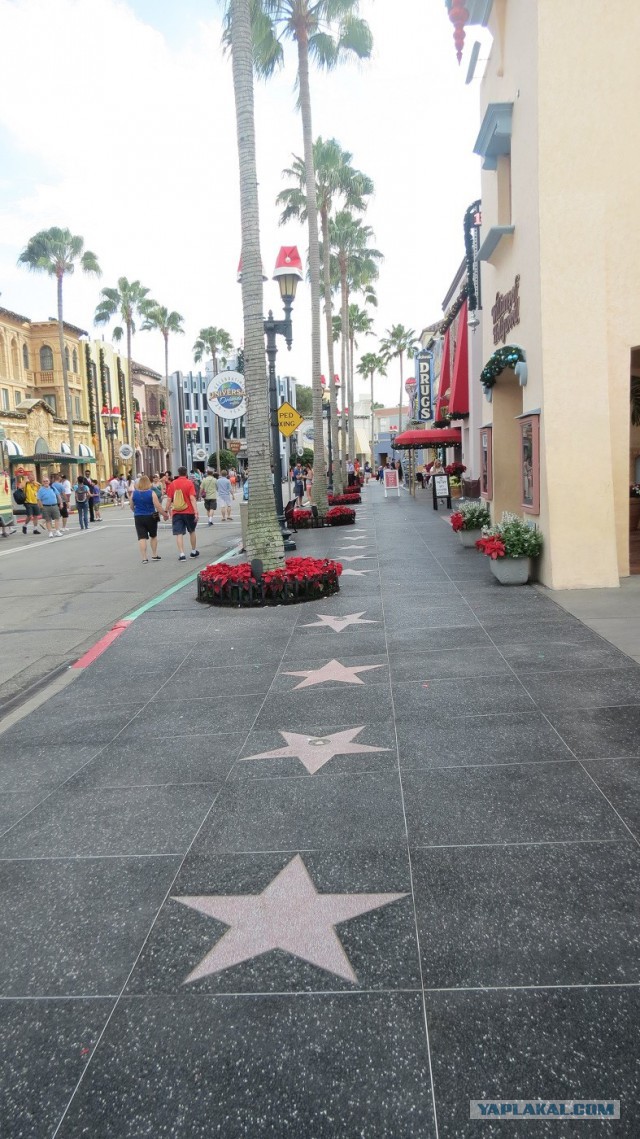 Флорида.Орландо.