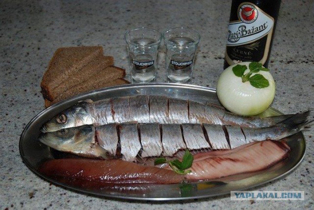 Лучшая закуска к водке