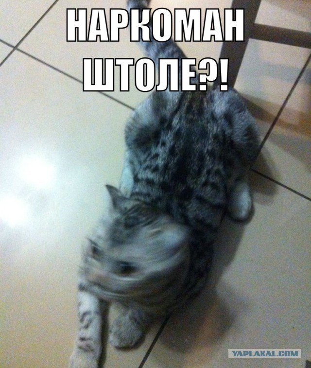 Видео с пришельцем