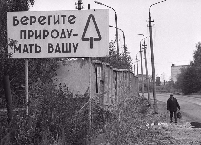 Порция картинок
