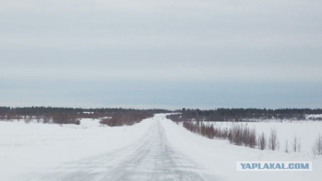 Новый Уренгой-Надым, покатушки  в выходные на День Оленевода