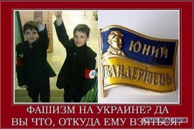 С кем воевали наши предки? Тыкайте рожей Запад в историю. Требуйте от них покаяния.