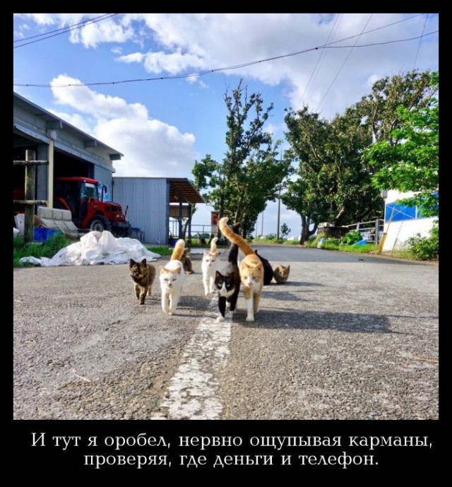 Всяко-разно из тырнэта