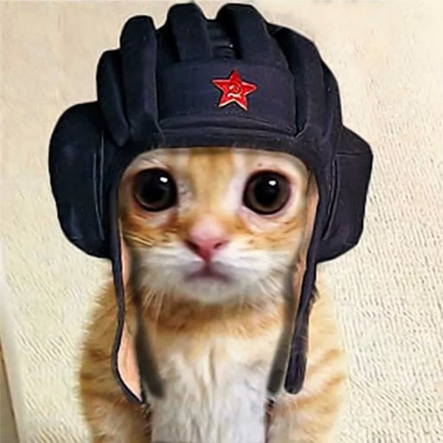 И тут я кое что понял про свою жену