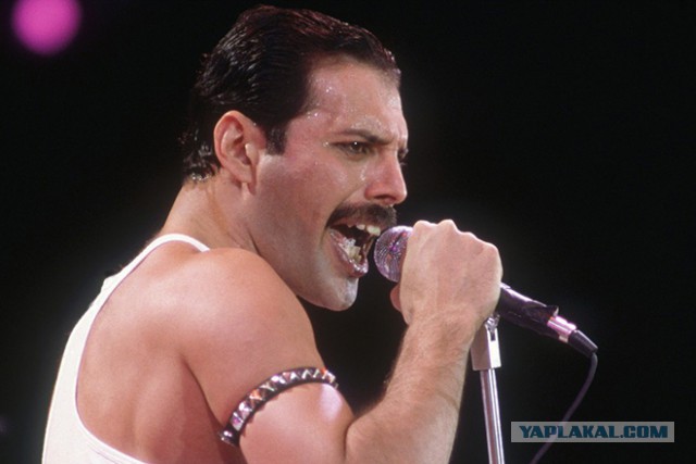 Последний клип Queen