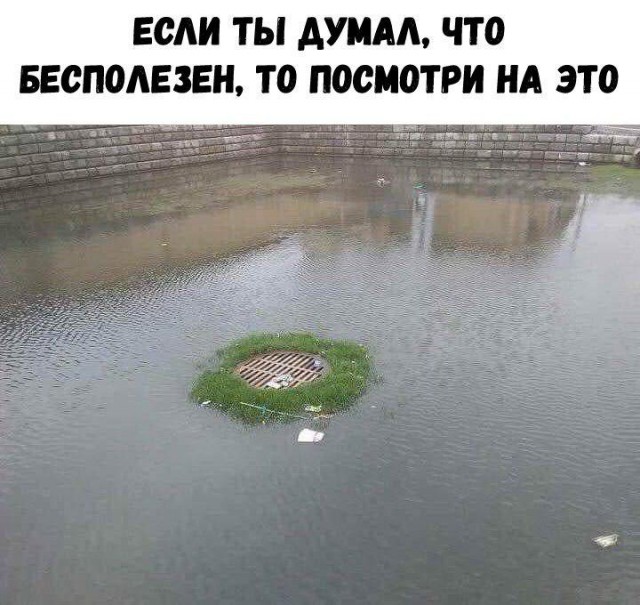 Нестандартный юмор