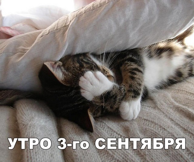 Немного милоты