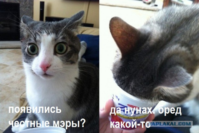 Новый мэр Якутска начал с удивительных обещаний