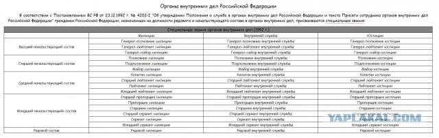 В Петербурге полицейский потребовал называть его «господином»