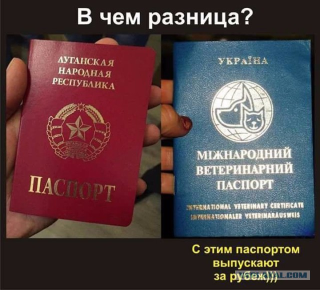 Россия ответит Киеву либерализацией приобретения украинцами гражданства РФ – Путин