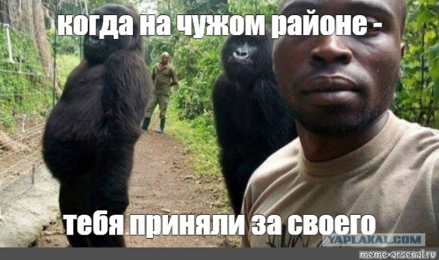 Самые нелепые фотографии из отпуска