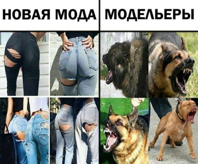 Картинки с надписями, истории и анекдоты 01.10.19