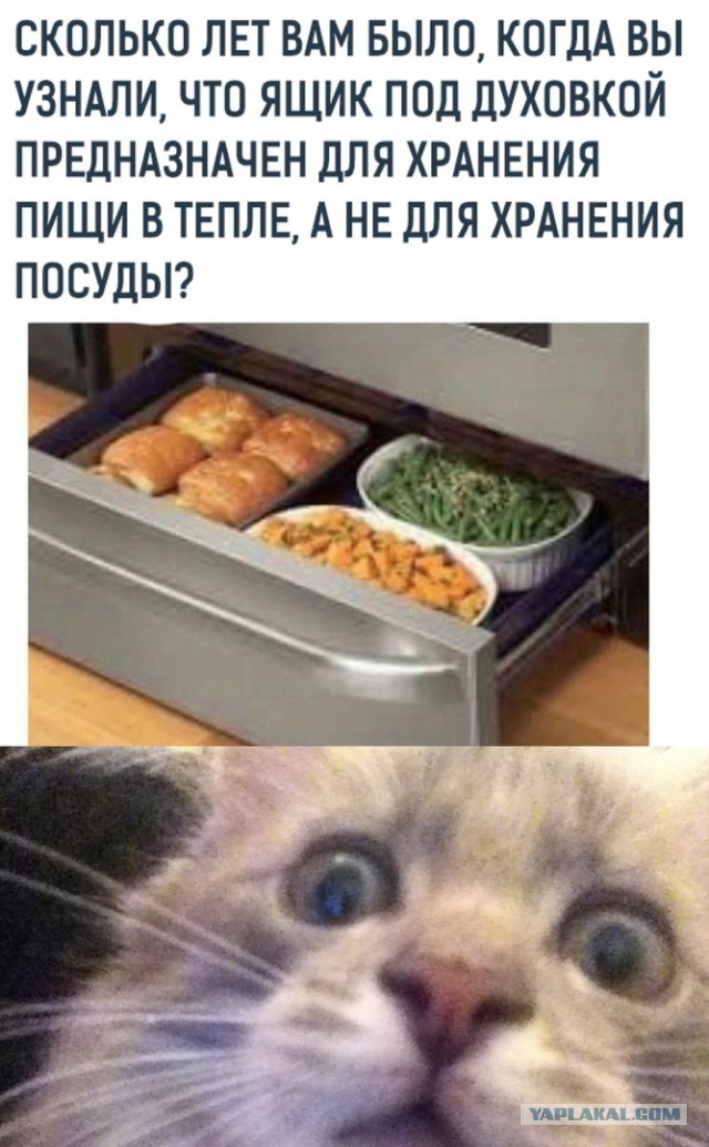 Пользователи разоблачили 8 "полезных" советов, в которые многие поверили