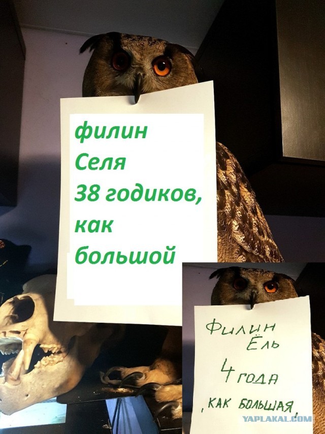 Мужик или Мужчина?