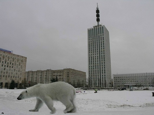В Архангельске дом сошел со свай.