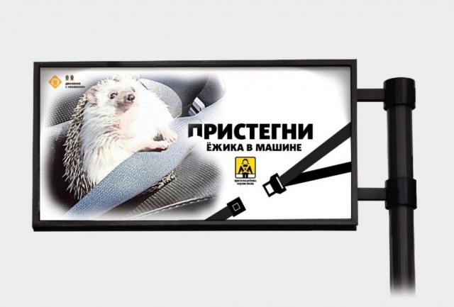 "Идеальный пассажир". Фотожабы на ежика, который пристегнулся