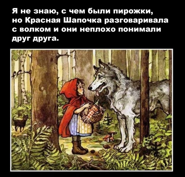 Бредзона 15.08.20