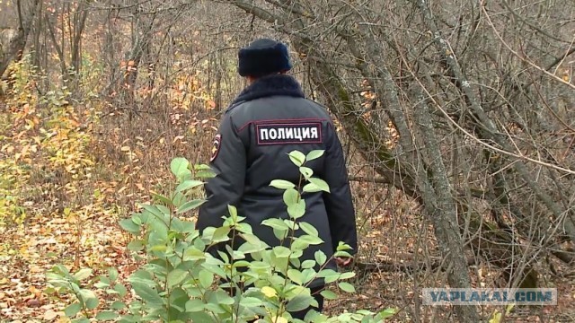 В петербургском лесу обнаружили закопанную по голову мёртвую женщину. Её могли закопать живой.