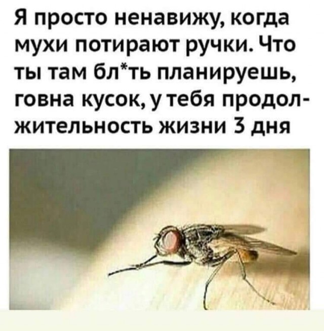 Сегодня совсем лайтово