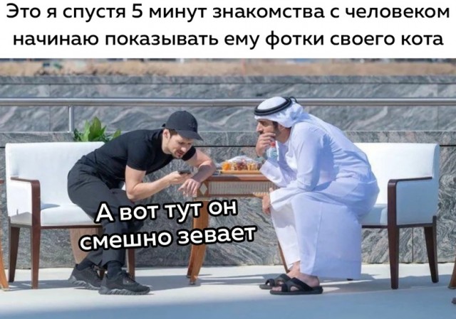 Весёлый полтишок 16.02