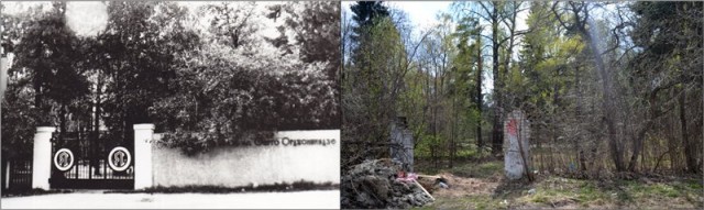 Почему я никогда не отправлю своих детей в летний лагерь