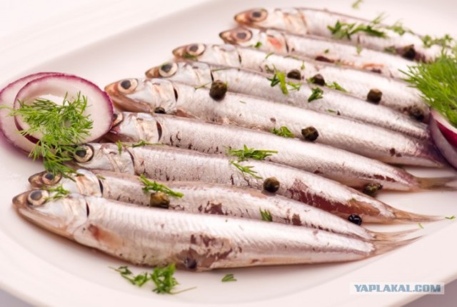 Нежданный трофей, во время соревнований