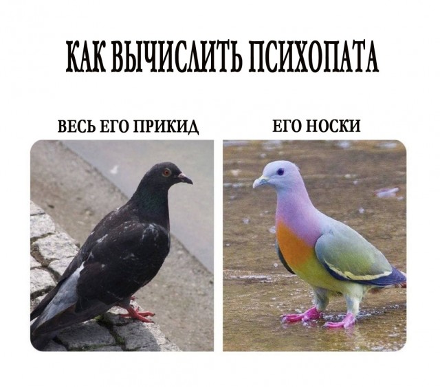И где?