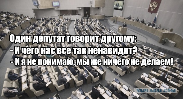 Депутат молчит — служба идет