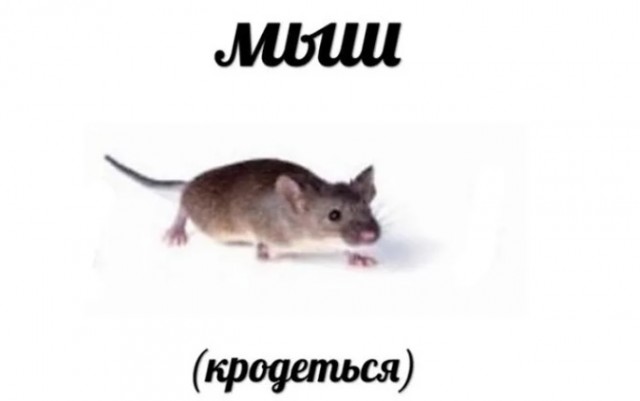 Разбираем новый мем "про рыбов"