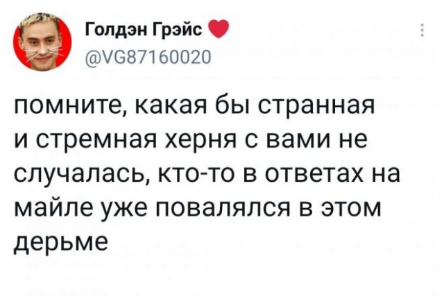 Картинки и мемы для настроения 09.08.2021