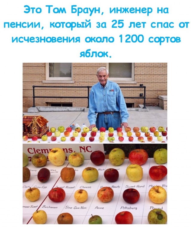 Здесь будет Петербург