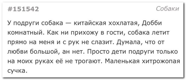 Забавные комментарии из социальных сетей 04.10.21