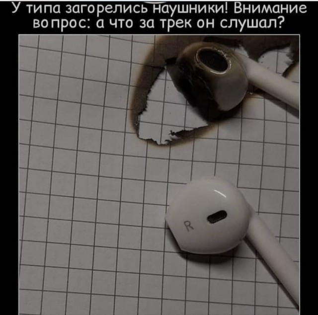 Весёлый полтишок 26.11
