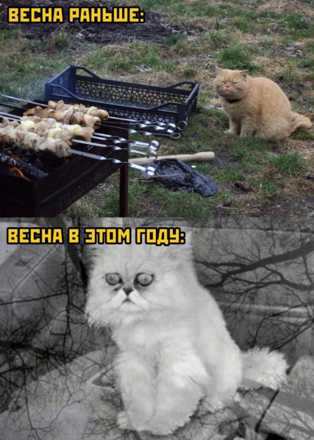 Картинки и мемы, всем хороших выходных