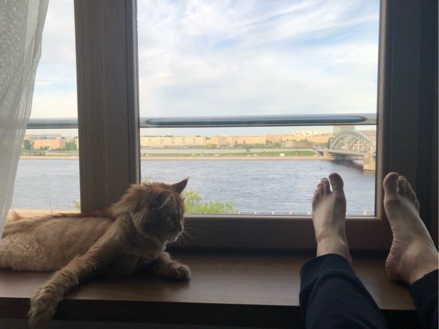 Начну котовторник чуть раньше!